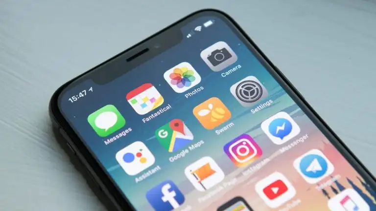 Flutter for Business Apps: One Codebase, Both App Stores